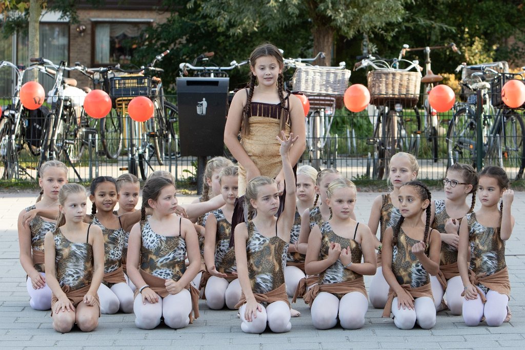 Schoolplein Festival A151.jpg